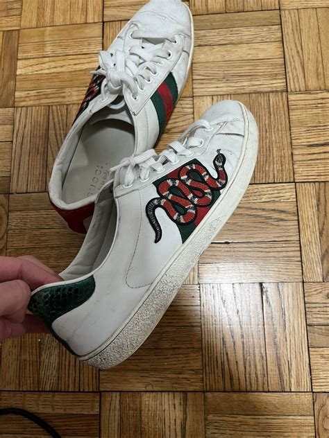 what breed is the gucci snake|gucci ace embroidered snake.